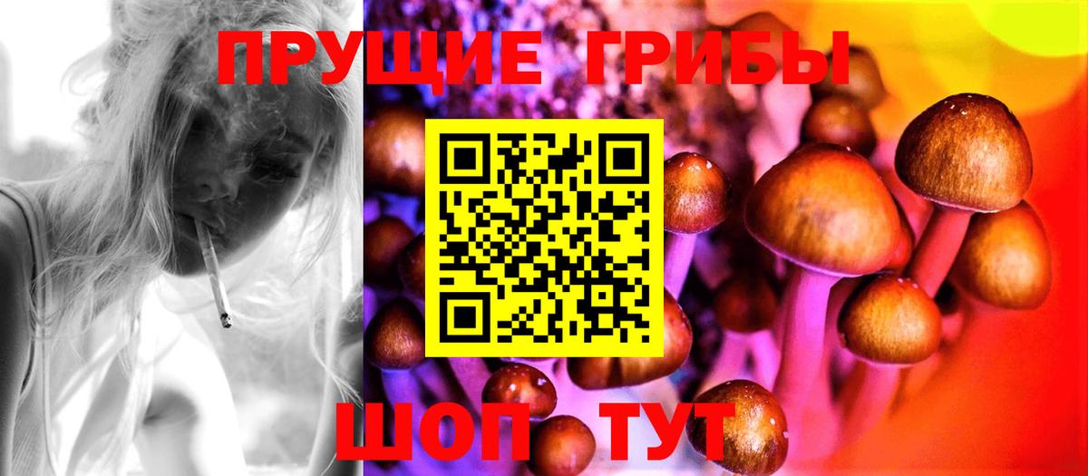 Кимры  Псилоцибиновые грибы GOLDEN TEACHER  Вход с VPN 